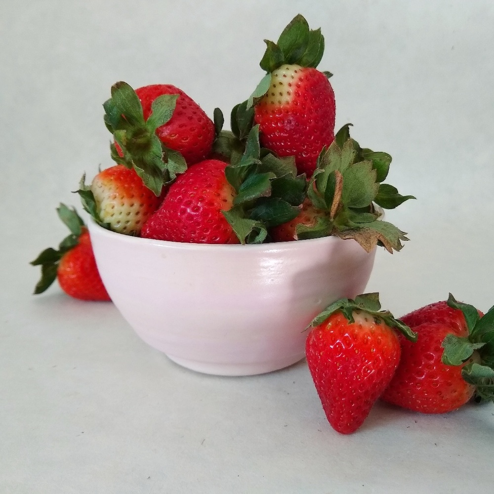 Blushing Pink Ceramic Bowl